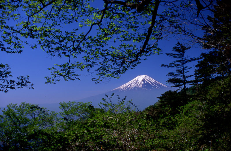 富士山画像作品