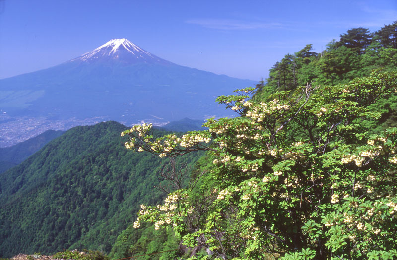 富士山画像作品