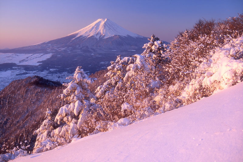 富士山画像作品