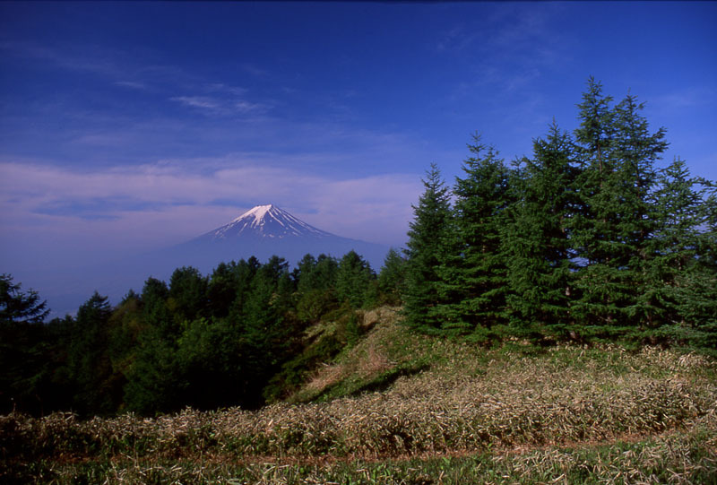 富士山画像作品