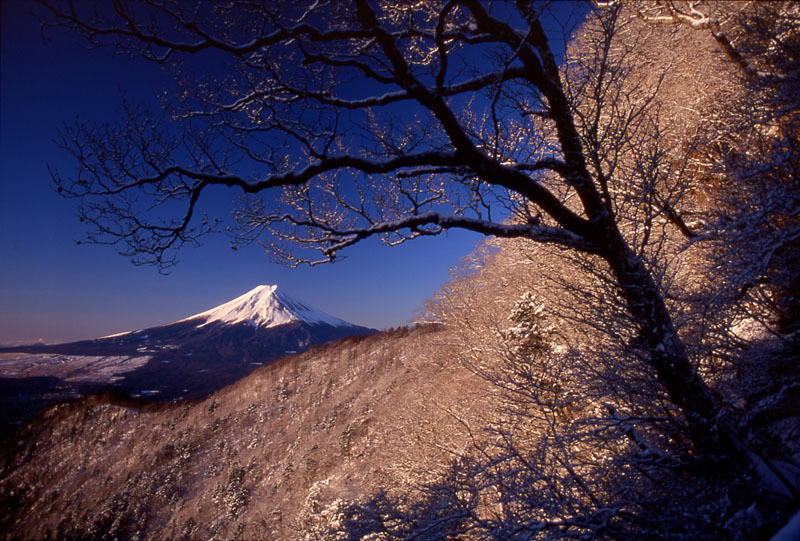 富士山画像作品