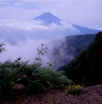 富士山画像作品