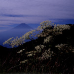 富士山画像作品