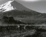 富士山周辺暮し
