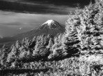 富士山画像作品