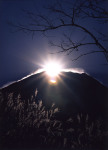 富士山画像作品