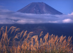 富士山画像作品