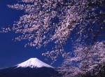 富士山画像作品