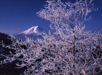 富士山画像作品