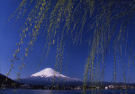 富士山画像作品