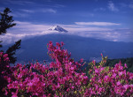 富士山画像作品