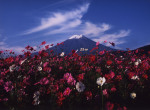 富士山画像作品
