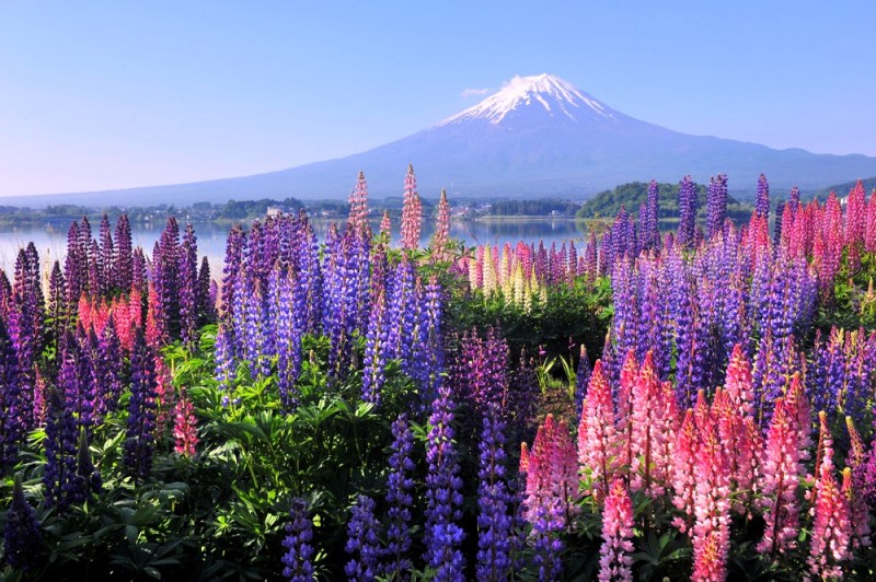 富士山画像作品