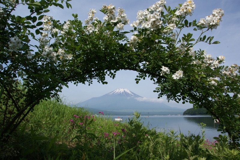 富士山周辺風景