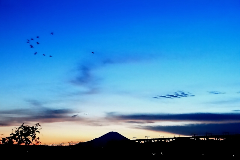 富士山画像記録