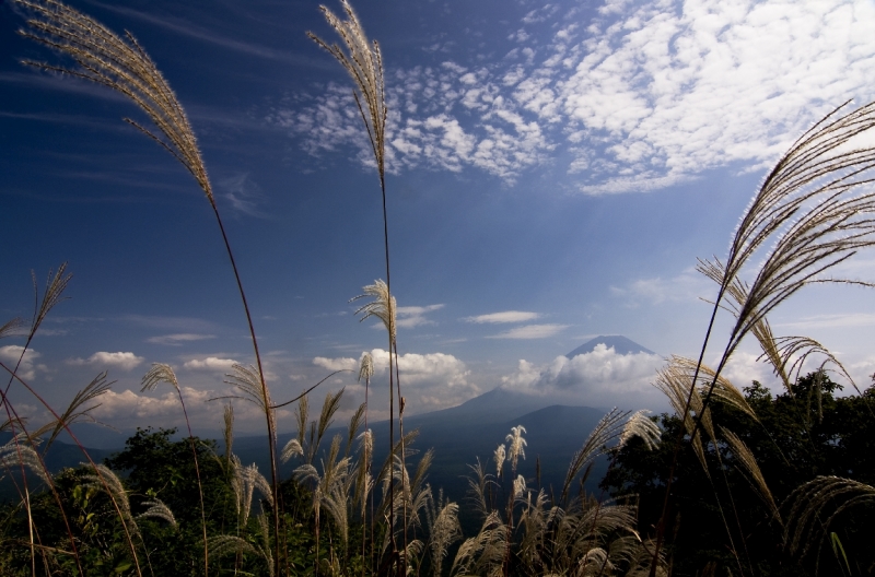 富士山画像作品