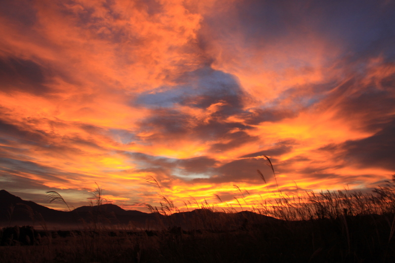 富士山画像記録