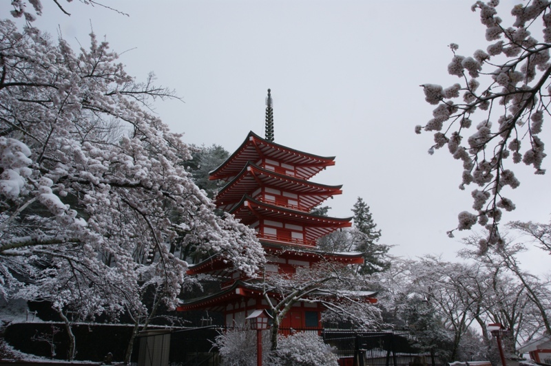 富士山周辺風景