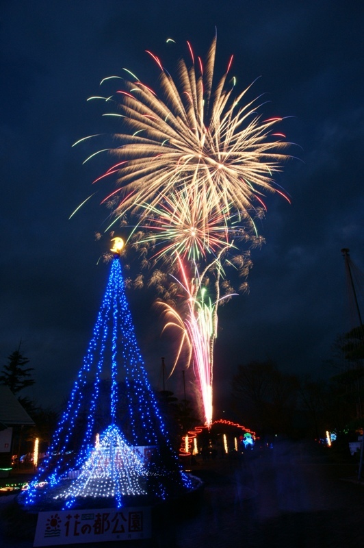 富士山周辺その他