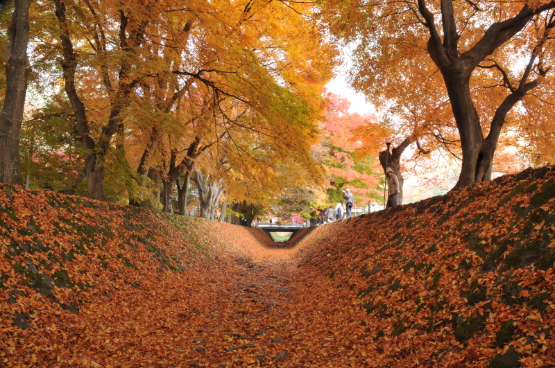 富士山周辺風景