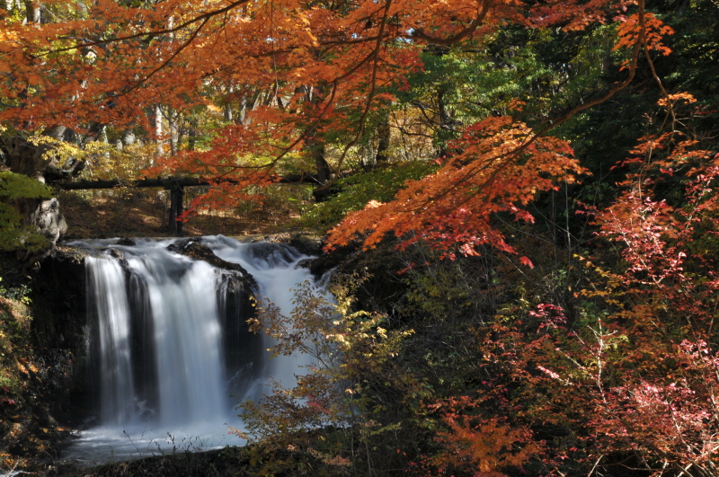 富士山周辺風景