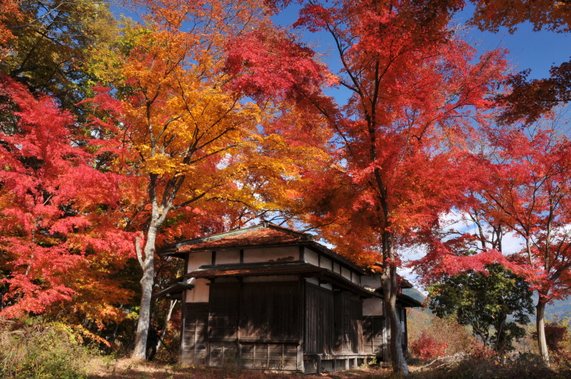 富士山周辺風景