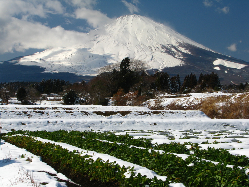 富士山画像記録