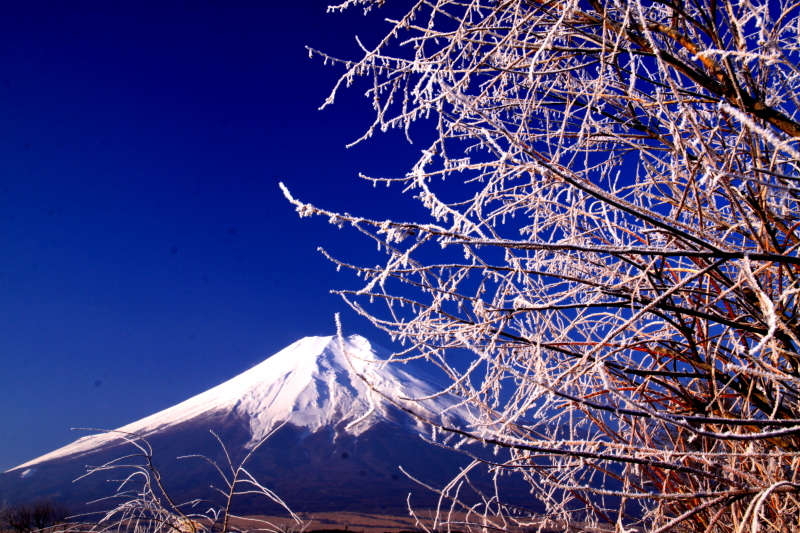 富士山画像記録
