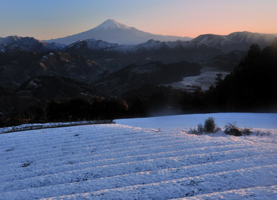 富士山画像作品