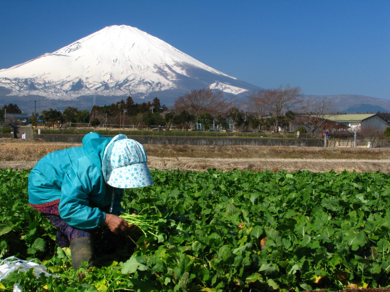 富士山周辺暮し