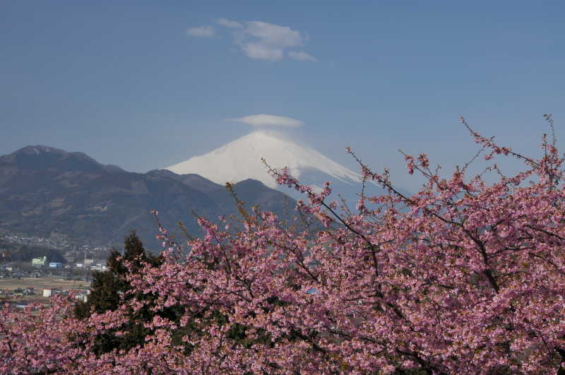 富士山周辺風景