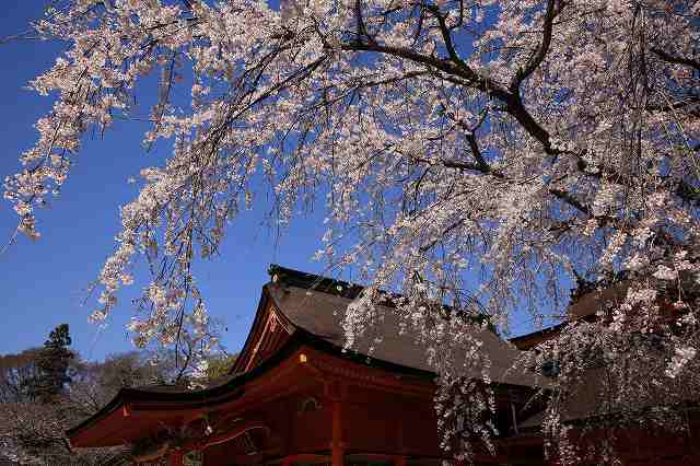 富士山周辺風景