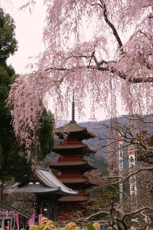 富士山周辺風景