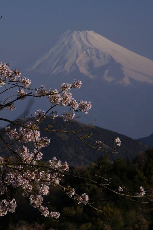 富士山画像作品