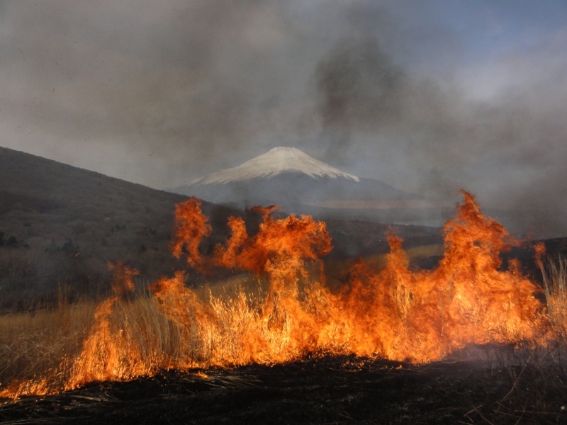 富士山画像記録