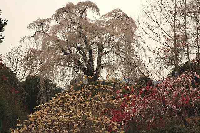 富士山周辺風景