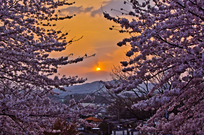 富士山画像記録