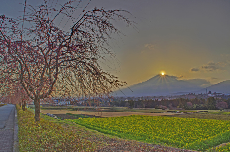 富士山画像記録