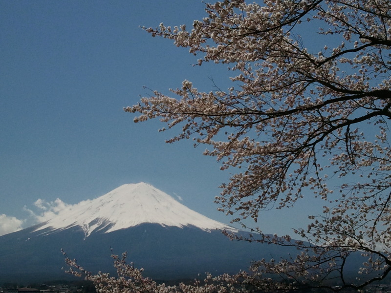 富士山画像記録