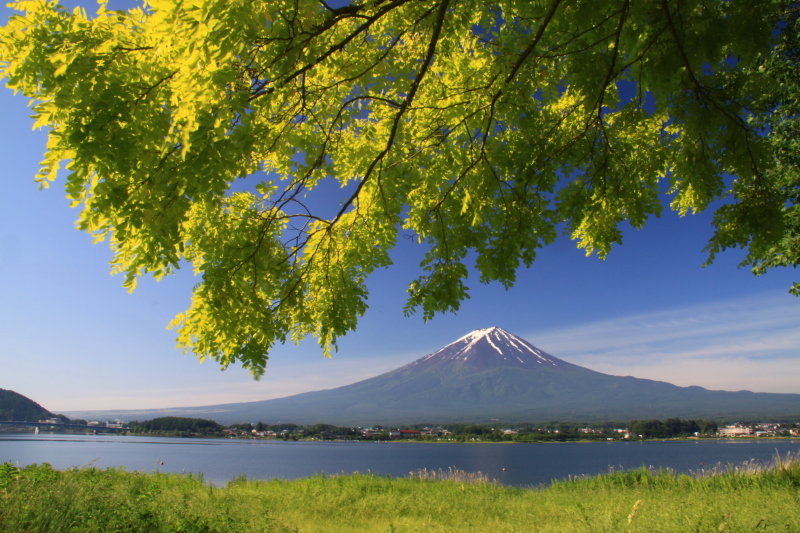 富士山画像記録