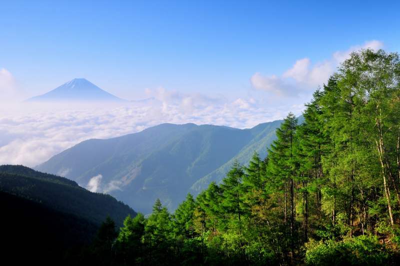 富士山画像作品
