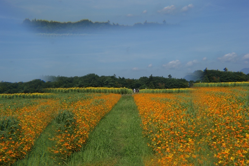 富士山周辺風景