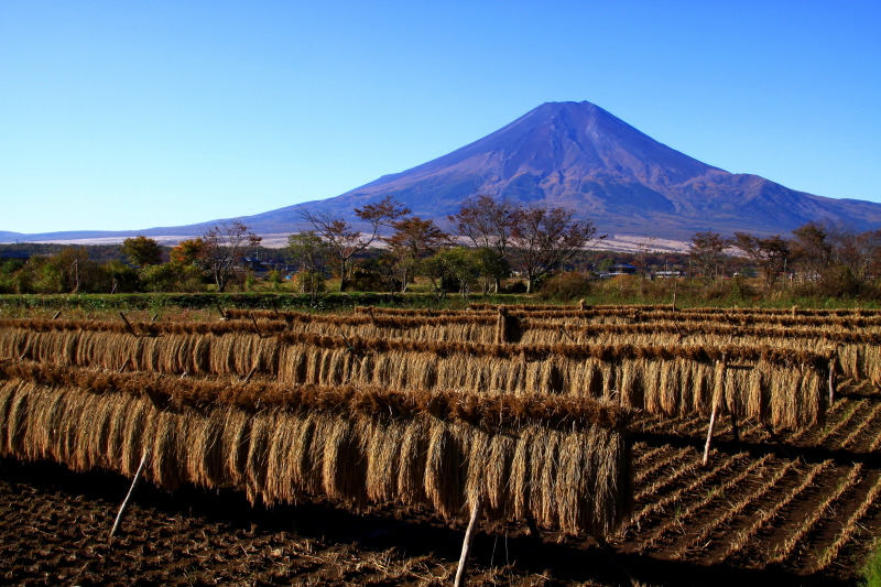 富士山画像記録