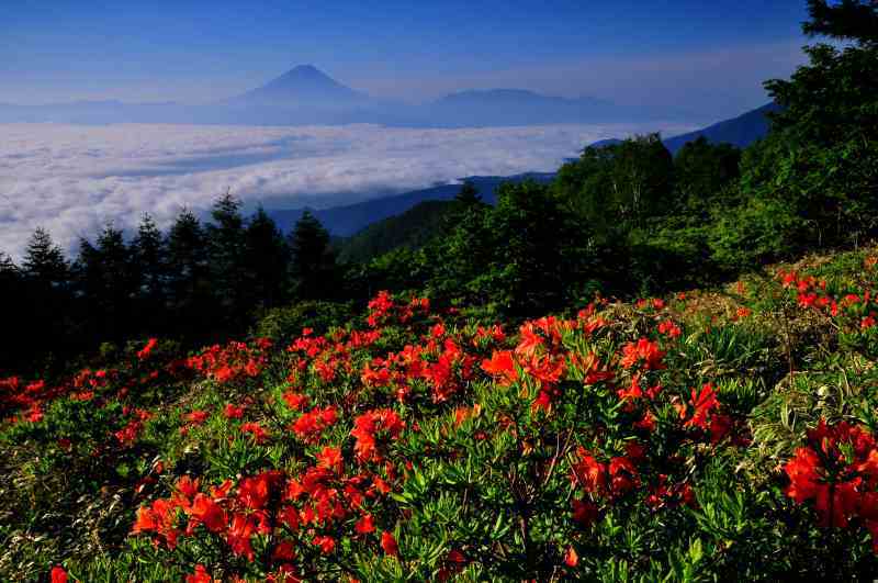 富士山画像作品