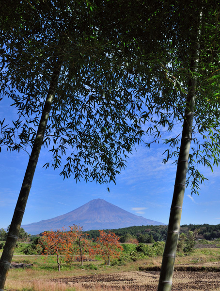 富士山画像作品