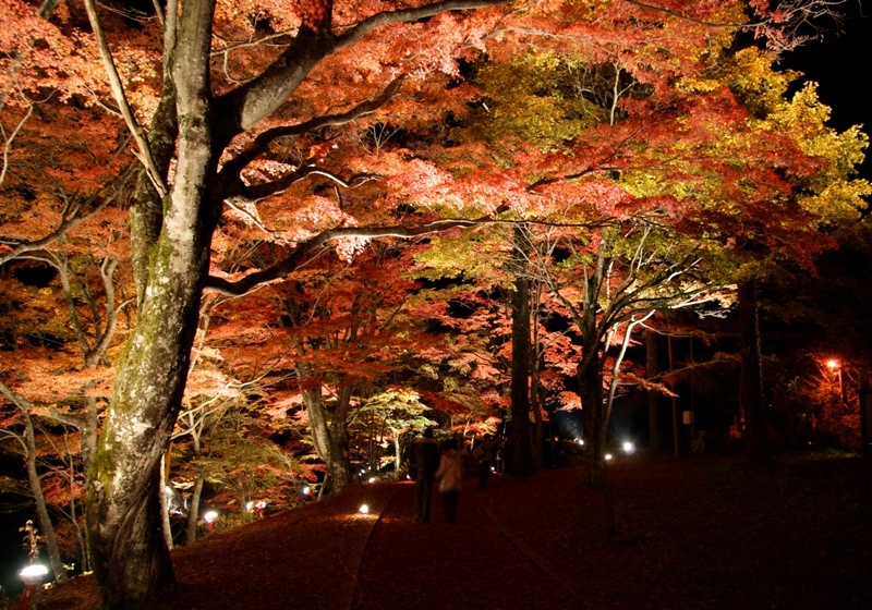 富士山周辺風景
