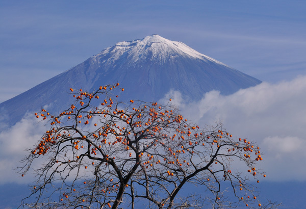 富士山画像作品