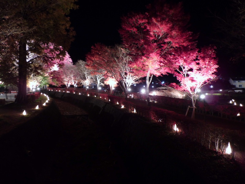 富士山周辺風景