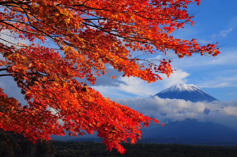 富士山画像作品