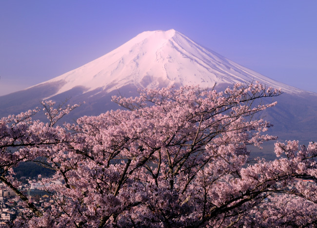 富士山画像作品